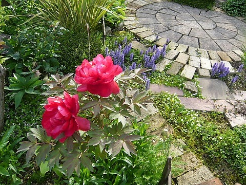 c0112206_20562593.jpg