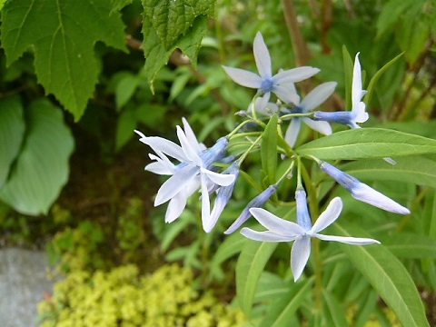 c0112206_20572753.jpg