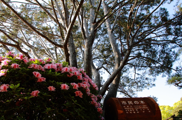 a0251508_18222040.jpg