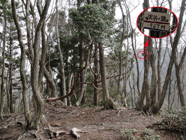 2017/04/22　武平峠から三人山・雨乞岳・七人山　周回_f0052108_09185954.jpg