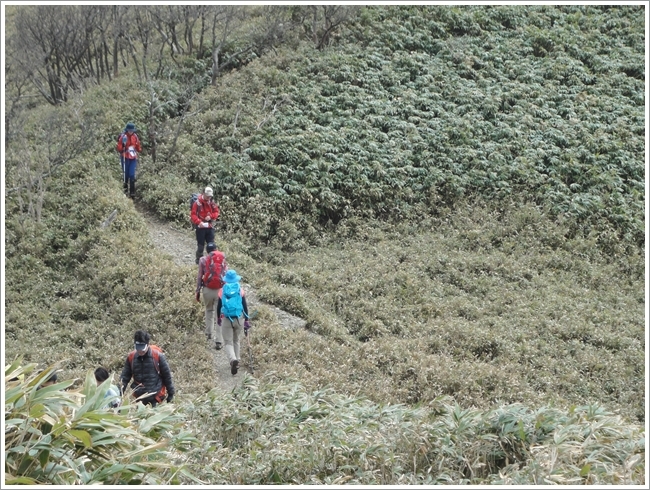 2017/04/22　武平峠から三人山・雨乞岳・七人山　周回_f0052108_09201791.jpg