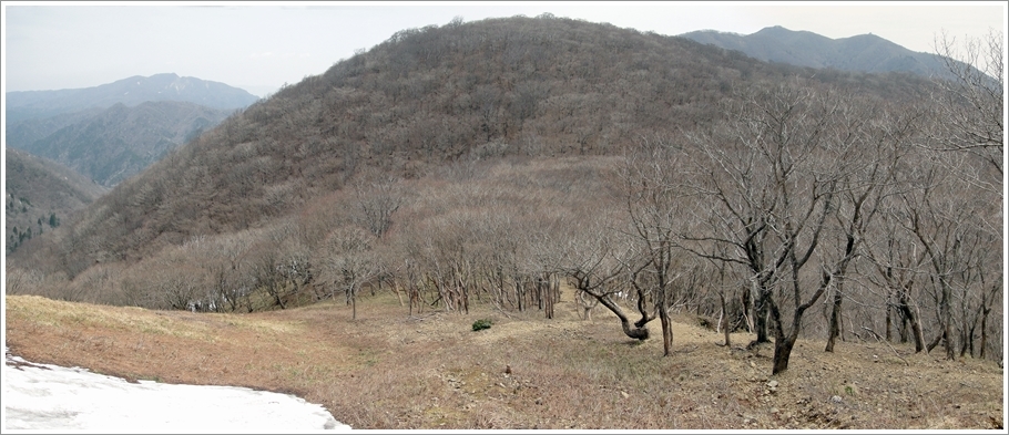 2017/04/22　武平峠から三人山・雨乞岳・七人山　周回_f0052108_09204210.jpg