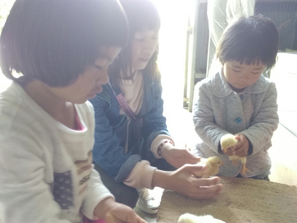 へべすの開花とGW。_a0300410_00082520.jpg