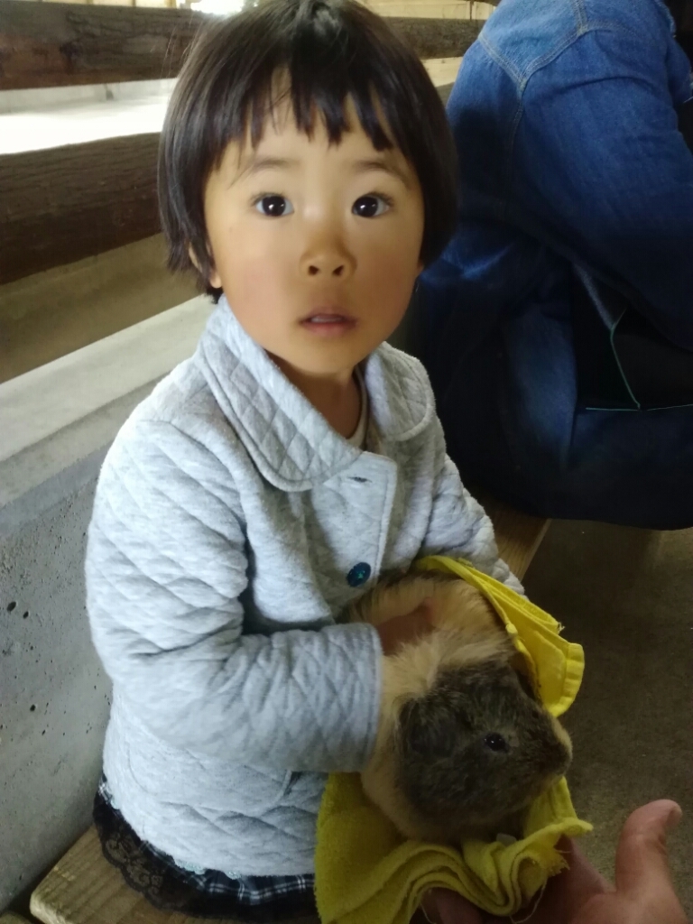 へべすの開花とGW。_a0300410_00082662.jpg