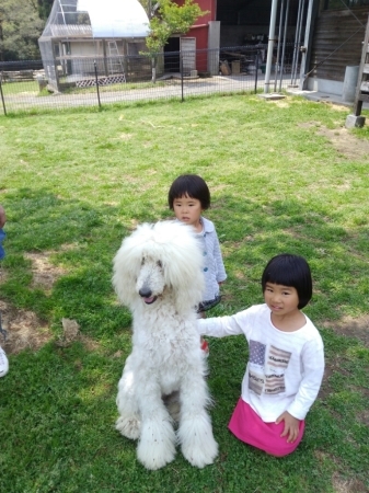 へべすの開花とGW。_a0300410_00082845.jpg