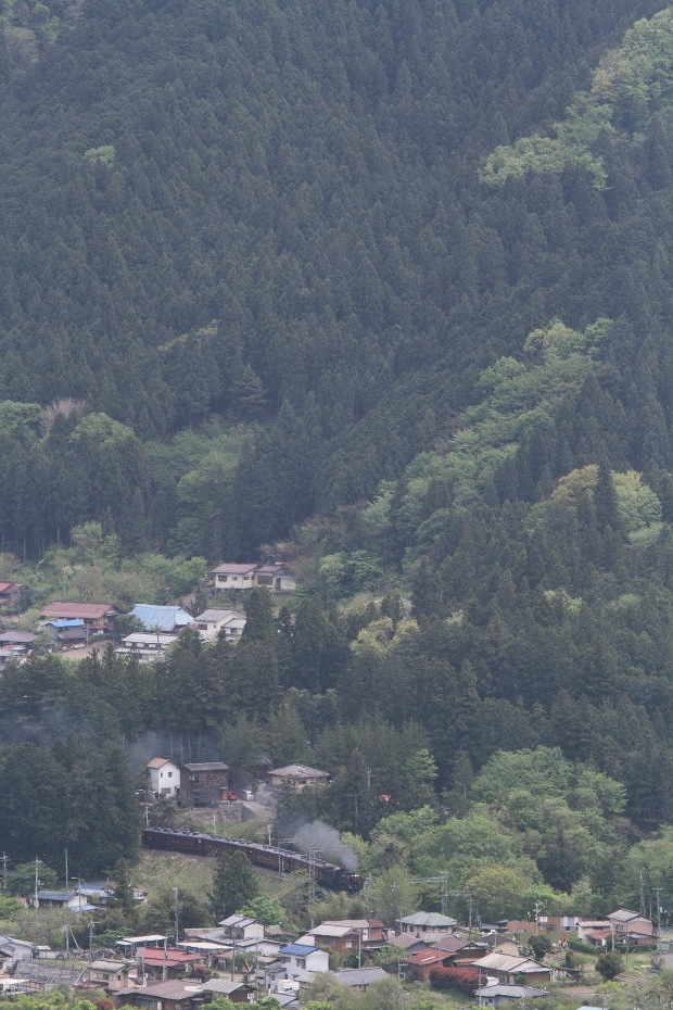 新緑の安谷川橋梁 - 2017年春・秩父 -_b0190710_21004468.jpg