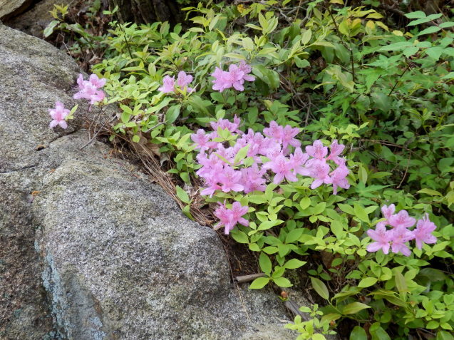 f0219710_19303700.jpg