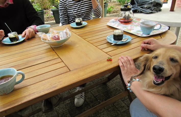 裏庭でお茶♡_f0067514_20411505.jpg