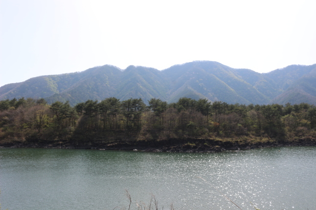 富士山１周の旅 ＆ ずんちゃんパン_f0354014_06554103.jpg