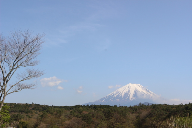 富士山１周の旅 ＆ ずんちゃんパン_f0354014_06554509.jpg