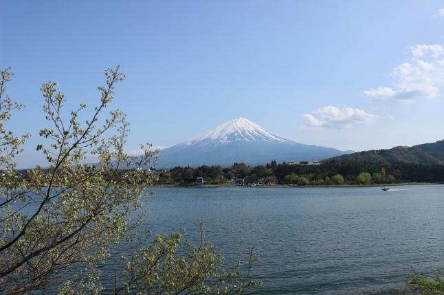 富士山１周の旅 ＆ ずんちゃんパン_f0354014_06575769.jpg