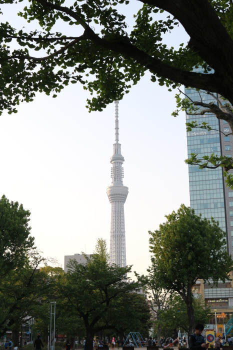 【亀戸天神社】_f0348831_20460021.jpg