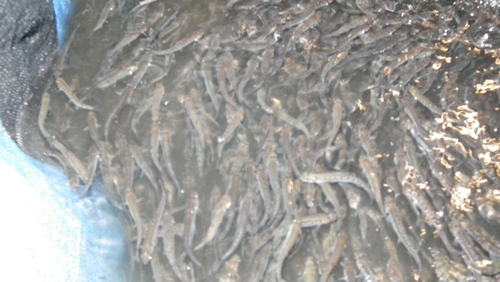 c0185132_1112588.jpg