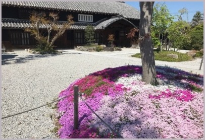 大人の修学旅行 奈良へ 竜田揚げランチと法隆寺_d0017632_20110596.jpg