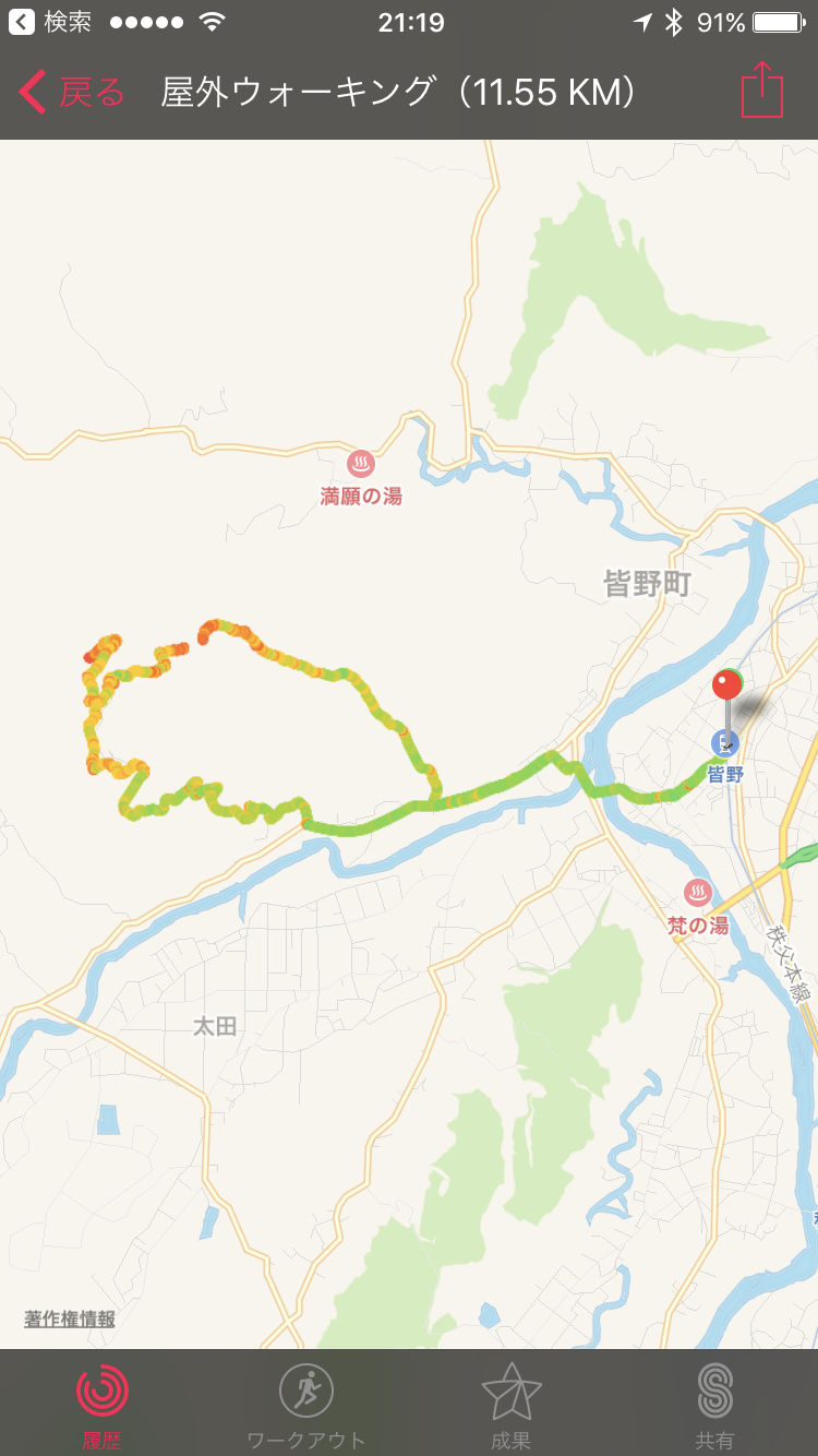 a0138134_21595941.png