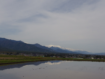 a0014840_2221475.jpg