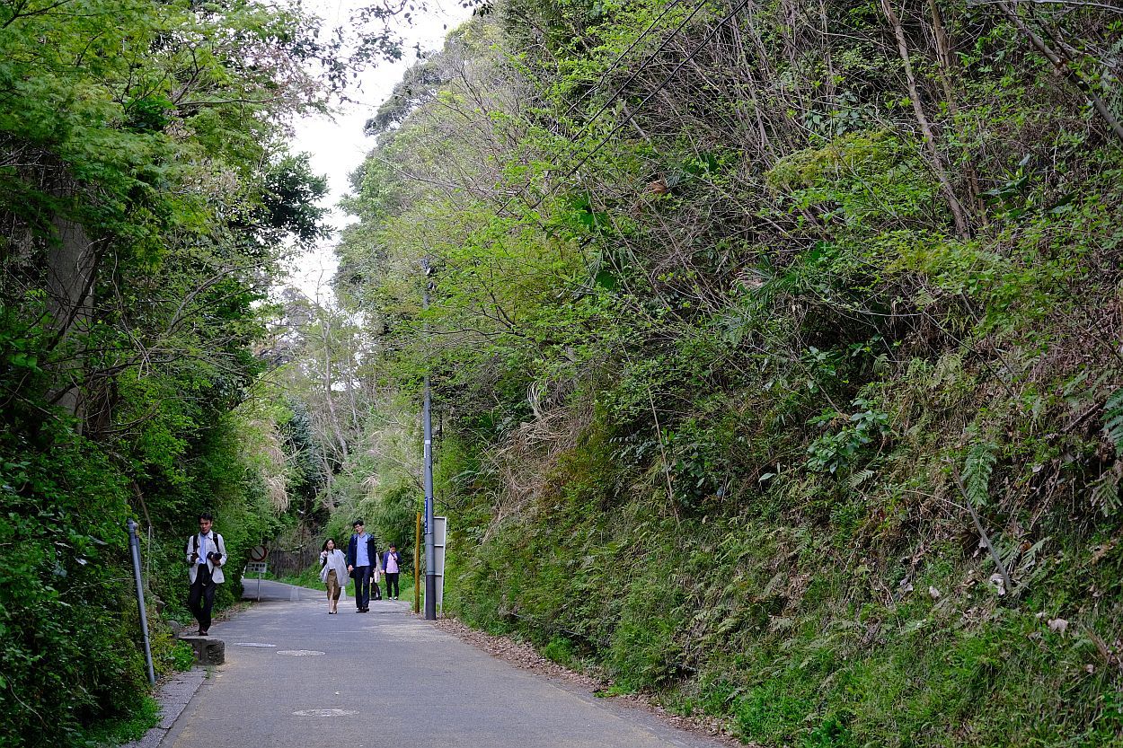 b0212342_15020749.jpg