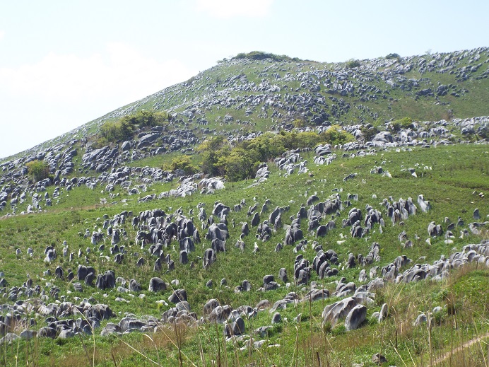 e0164643_2157189.jpg