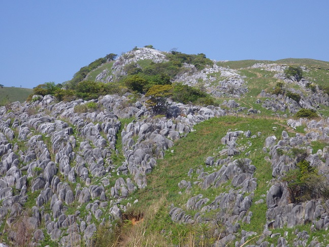 e0164643_21574088.jpg