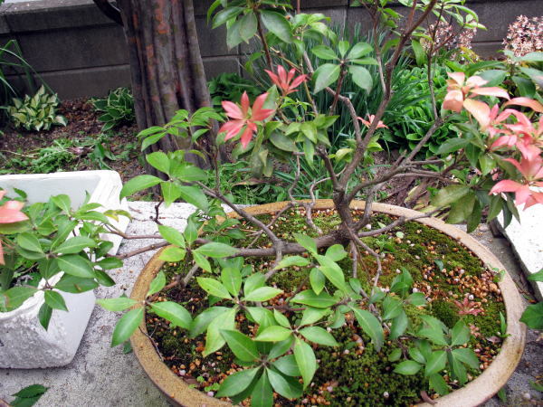 c0147952_19471129.jpg