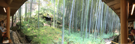 鎌倉の竹寺・竹林を眺めて抹茶効果でリフレッシュ・お疲れさま渋滞ストレスにもアロマテラピー精油_f0364153_15091248.jpg