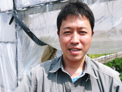 熊本イチゴ『さがほのか』今期の発送終了!そして匠の決断!!来期は『さがほのか』から熊本限定栽培品種の『熊紅(ゆうべに)』へ!_a0254656_18170506.jpg