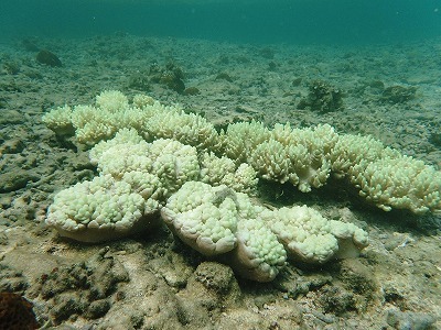 c0180460_11555300.jpg