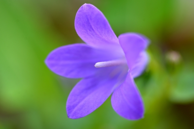 a0016161_20272010.jpg