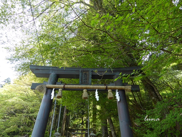 ひめちゃご73　英彦山・高住神社に参拝してきた_c0222861_2015368.jpg