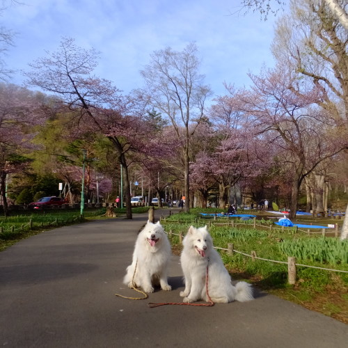 日新小学校～～行ってきました_b0102267_07254380.jpg