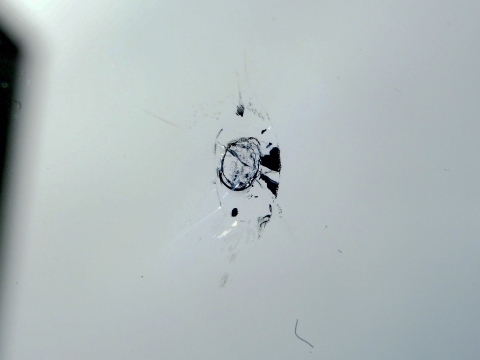 e0045768_23003820.jpg