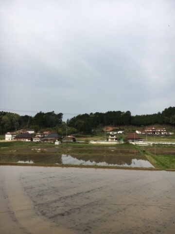 f0363168_07170275.jpg