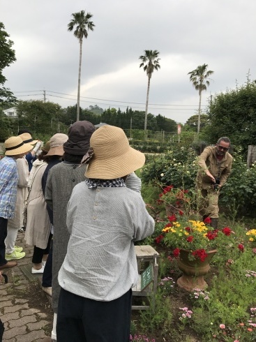 アナーセンセレクト・・・花旅みやざき・・宮崎薔薇ツアー&#127801;_b0137969_07372324.jpg