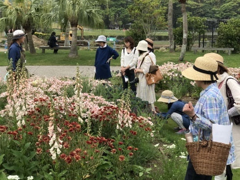 アナーセンセレクト・・・花旅みやざき・・宮崎薔薇ツアー&#127801;_b0137969_08063361.jpg