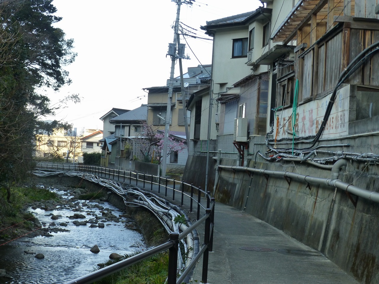 d0351575_20235675.jpg
