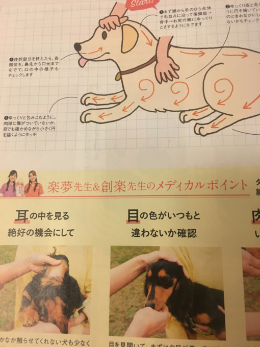 またまた取材を受けましたー☆_c0245679_20105309.jpg