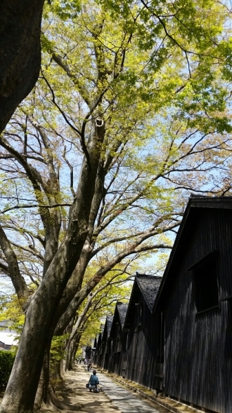 d0226286_20461414.jpg