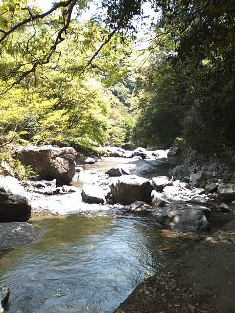 b0205694_23041192.jpg