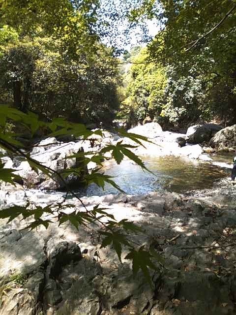 b0205694_23050179.jpg