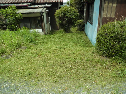 c0108198_16597.jpg