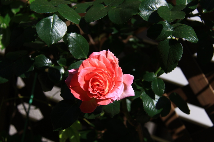 d0248502_01204251.jpg