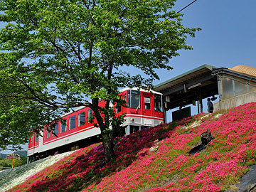 智頭線満喫列車の旅_c0152411_03004578.jpg