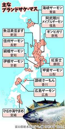 爆発的人気のサーモンを“作れ” 養殖や地域ブランド加速「国産安心感や新鮮さが魅力」 _b0064113_1111668.jpg