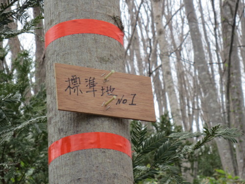 2017年4月30日(日) 山林調査 in荒巻山林_c0173813_13161437.jpg