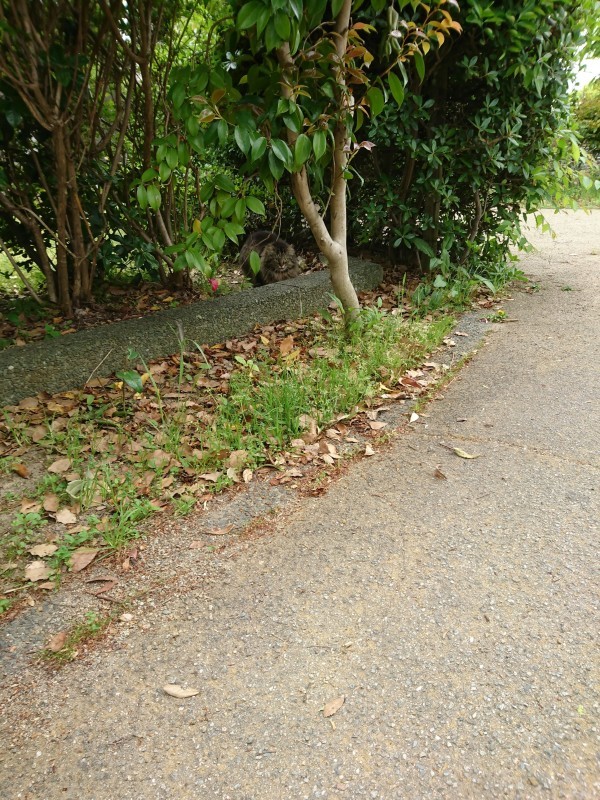 d0356213_14500915.jpg
