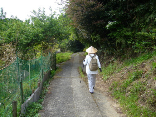 あるき遍路　阿波　「第二十二番札所　平等寺」_d0347222_13565002.jpg