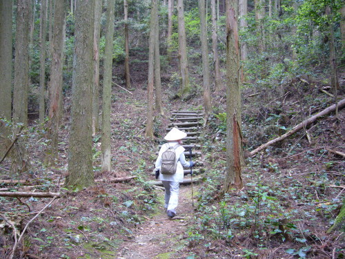 あるき遍路　阿波　「第二十二番札所　平等寺」_d0347222_14021034.jpg