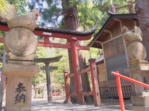 中野もみじ山のカタクリ(黒石市)*2017.05.04_b0147224_19263148.jpg