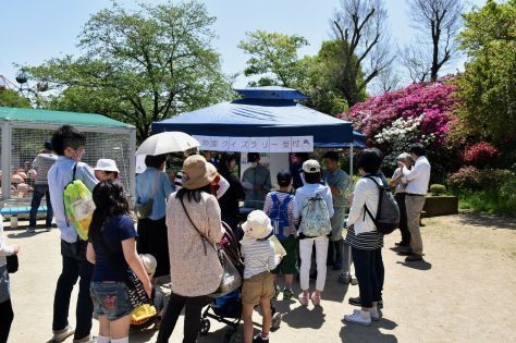 動物園クイズラリーを開催しました！_a0116430_15270700.jpg