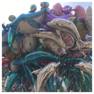 d0268536_83823100.png